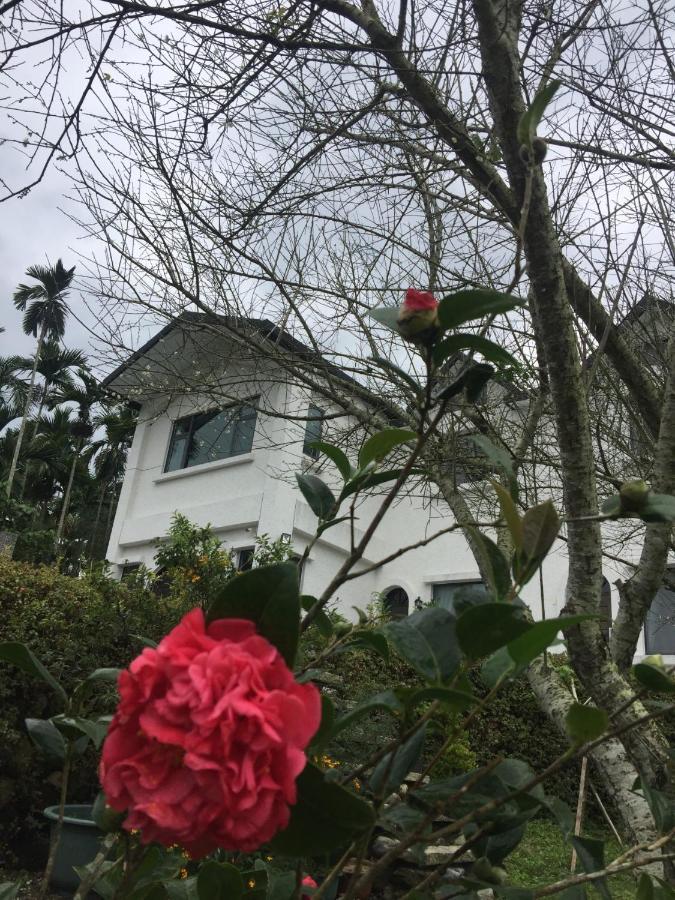 Wuju Wusu B&B Wenlan 외부 사진